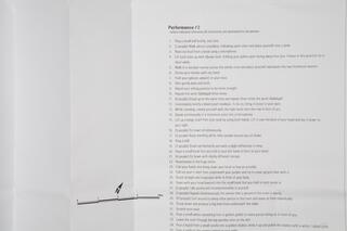 Birte Endrejat - Instructions for a Setting 2009