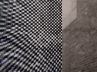Superposition, Birte Endrejat